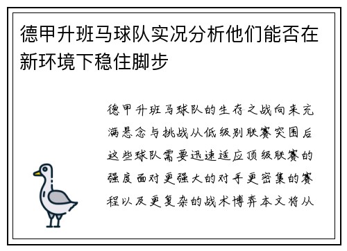 德甲升班马球队实况分析他们能否在新环境下稳住脚步